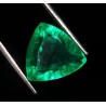 Esmeralda Colombiana Talla Trillion 8.62ct - Gema Certificada Verde Intenso AAA