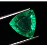 Esmeralda Colombiana Talla Trillion 8.62ct - Gema Certificada Verde Intenso AAA