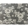 Encaje Antiguo Valenciennes Siglo XIX - Puntilla Francesa Floral 10m x 17cm Colección