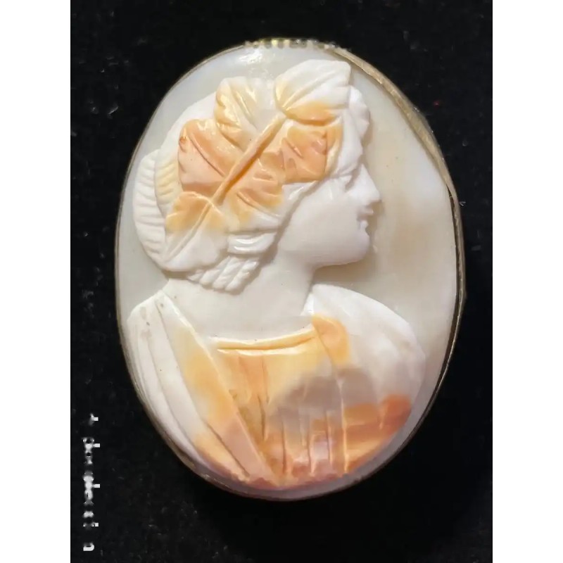 Camafeo Antiguo en Concha Natural - Perfil Femenino con Hojas de Laurel