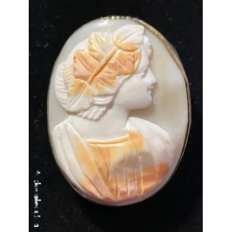 Camafeo Antiguo en Concha Natural - Perfil Femenino con Hojas de Laurel