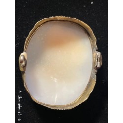 Camafeo Antiguo en Concha Natural - Perfil Femenino con Hojas de Laurel