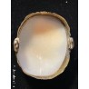 Camafeo Antiguo en Concha Natural - Perfil Femenino con Hojas de Laurel