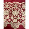 Encaje de Guipur Antiguo Blanco - Puntilla Artesanal Decorativa 200x25 cm