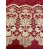 Encaje de Guipur Antiguo Blanco - Puntilla Artesanal Decorativa 200x25 cm