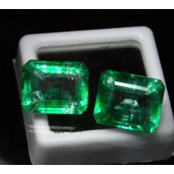 Pareja de Esmeraldas Naturales 17,80 CT - Gemas Talla Esmeralda Colombianas