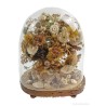 Campana de Cristal Vintage con Composición Floral de Conchas - Arte Decorativo