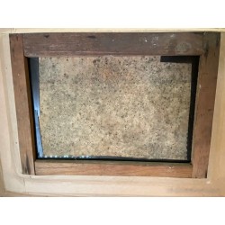 Obra de Arte Antigua - Oleo Original del Siglo XIX en Marco Dorado Ornamental