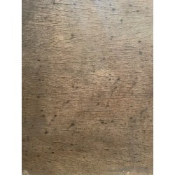 Retrato masculino en Madera, 40x29.5 cm