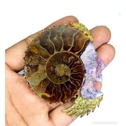 Colgante Exclusivo de Amonita Fósil con Perfil Tallado y Peridoto - Joya Artesanal