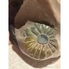 Bustos Decorativos Vintage - Esculturas de Niños con Detalles Artesanales