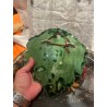 Centro de Mesa Vintage Portugués - Frutas de Cerámica sobre Hoja Decorativa