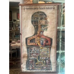 Póster Científico Vintage - El Hombre como Palacio Industrial - Anatomía Ilustrada