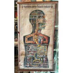 Póster Científico Vintage - El Hombre como Palacio Industrial - Anatomía Ilustrada