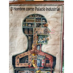 Póster Científico Vintage - El Hombre como Palacio Industrial - Anatomía Ilustrada