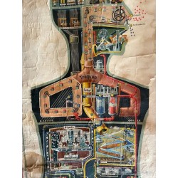 Póster Científico Vintage - El Hombre como Palacio Industrial - Anatomía Ilustrada