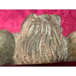 Ángel tallado en madera, detalle de rostro y alas