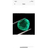 Esmeralda Natural Talla Corazón 8.27CT - Gema Certificada Verde Intenso