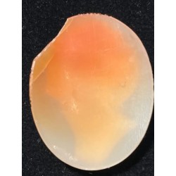 Camafeo en concha con relieve de perfil femenino clásico