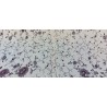 Mantón de Manila de Seda Crema con Bordado Floral en Tono Morado - Pieza Textil