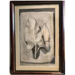 Pintura Original a Carboncillo - Estudio de Hojas Naturaleza Enmarcado - Arte