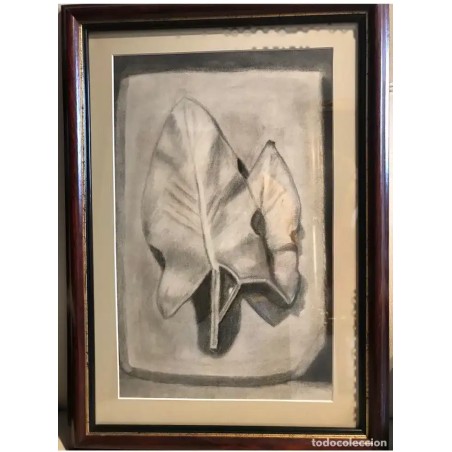 Pintura Original a Carboncillo - Estudio de Hojas Naturaleza Enmarcado - Arte