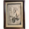 Pintura Original a Carboncillo - Estudio de Hojas Naturaleza Enmarcado - Arte