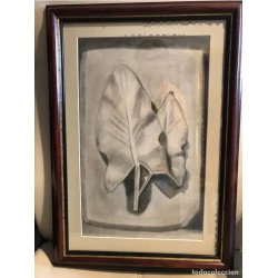 Pintura Original a Carboncillo - Estudio de Hojas Naturaleza Enmarcado - Arte