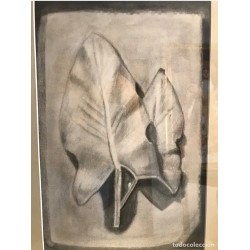 Pintura Original a Carboncillo - Estudio de Hojas Naturaleza Enmarcado - Arte