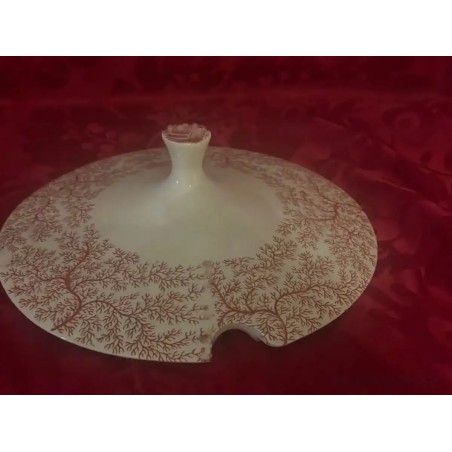Tapadera Original Sopera Cartuja Pickman Modelo Esparraguera.Porcelana Vintage