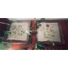 Pareja de Bordados Antiguos Enmarcados - Textiles Florales Vintage Doble Cristal